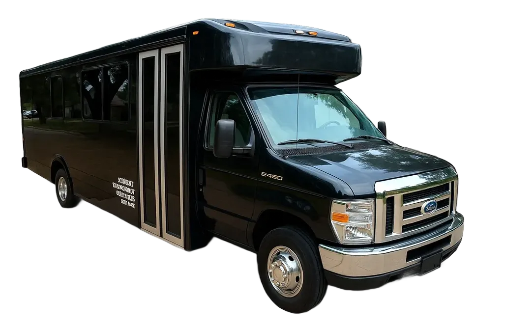 Luxury Party Bus – 29 Passengers